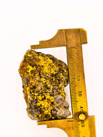 Huge 67 Gram 22k Alaskan Gold Quartz Nugget