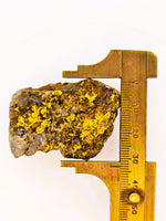 Huge 67 Gram 22k Alaskan Gold Quartz Nugget