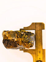 Huge 67 Gram 22k Alaskan Gold Quartz Nugget