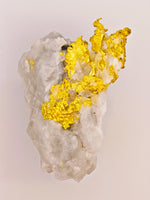 11.27 Grams 16to1 Mine Gold Quartz Specimen