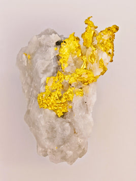 11.27 Grams 16to1 Mine Gold Quartz Specimen