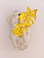 11.27 Grams 16to1 Mine Gold Quartz Specimen