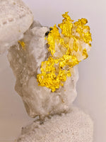 11.27 Grams 16to1 Mine Gold Quartz Specimen