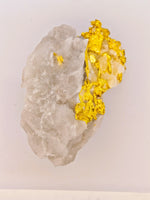 11.27 Grams 16to1 Mine Gold Quartz Specimen