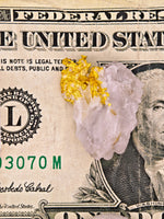 11.27 Grams 16to1 Mine Gold Quartz Specimen