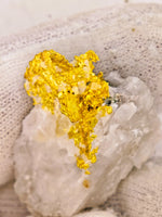 11.27 Grams 16to1 Mine Gold Quartz Specimen