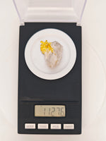 11.27 Grams 16to1 Mine Gold Quartz Specimen