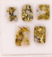 5 x Gold in Quartz Cabochon Parcel - 10.88cts