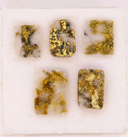 5 x Gold in Quartz Cabochon Parcel - 10.88cts