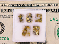 5 x Gold in Quartz Cabochon Parcel - 10.88cts