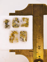 5 x Gold in Quartz Cabochon Parcel - 10.88cts