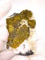 LARGE 77.32 Cts Colorado Gold Quartz Slab