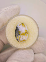 23.83ct Gympie Australia mine Gold Quartz & Platinum Cabochon
