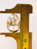 19.38ct Gympie Australia Gold Quartz & Platinum Cabochon