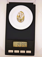 19.38ct Gympie Australia Gold Quartz & Platinum Cabochon