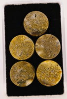 5 x Round Colorado Gold Quartz Parcel - 32.32cts