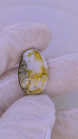 23.83ct Gympie Australia mine Gold Quartz & Platinum Cabochon