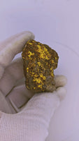 Huge 67 Gram 22k Alaskan Gold Quartz Nugget