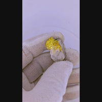11.27 Grams 16to1 Mine Gold Quartz Specimen
