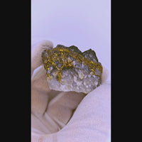 68.3 Grams RICH Californian Gold Quartz Specimen