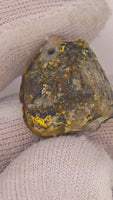 7.21 Gram 22k Alaskan Gold Quartz Nugget