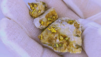 39.72 Grams Trio Californian Gold Quartz Nugget Specimens