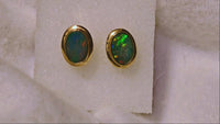 14K Yellow Gold Australian Opal Earrings
